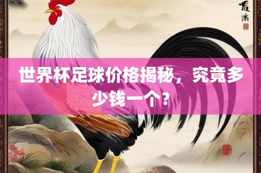 世界杯足球价格揭秘，究竟多少钱一个？