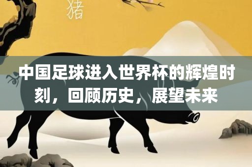 中国足球进入世界杯的辉煌时刻，回顾历史，展望未来