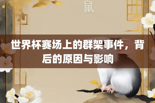 世界杯赛场上的群架事件，背后的原因与影响
