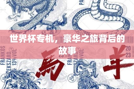 世界杯专机，豪华之旅背后的故事