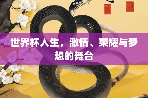 世界杯人生，激情、荣耀与梦想的舞台