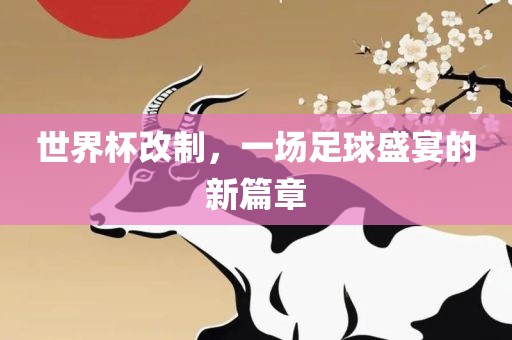 世界杯改制，一场足球盛宴的新篇章漯河市盈旭机械设备有限公司