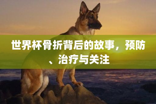 世界杯骨折背后的故事，预防、治疗与关注