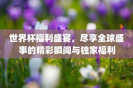 世界杯福利盛宴，尽享全球盛事的精彩瞬间与独家福利