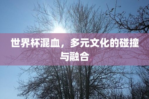 世界杯混血，多元文化的碰撞与融合
