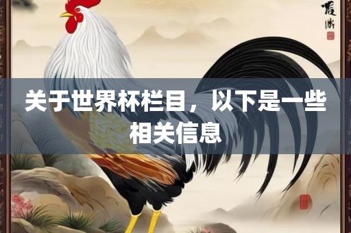 关于世界杯栏目，以下是一些相关信息