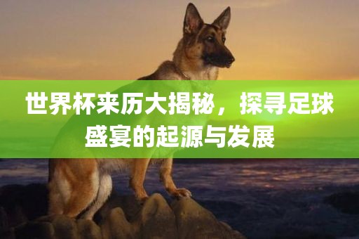 世界杯来历大揭秘漯河市盈旭机械设备有限公司，探寻足球盛宴的起源与发展