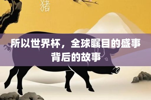 所以世界杯，全球瞩目的盛事背后的故事