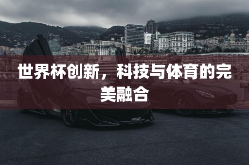 世界杯创新，科技与体育的完美融合
