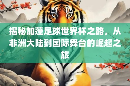 揭秘加蓬足球世界杯之路，从非洲大陆到国际舞台的崛起之旅