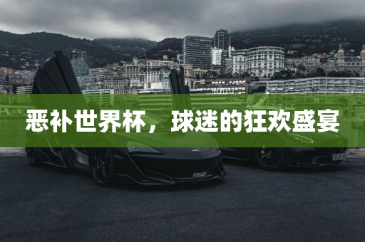 恶补世界杯，球迷的狂欢盛宴