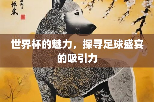 世界杯的魅力，探寻足球盛宴的吸引力