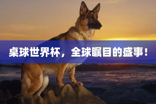 桌球世界杯，全球瞩目的盛事！