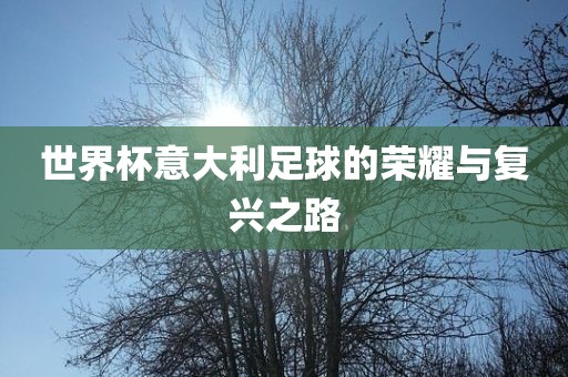 世界杯意大利足球的荣耀与复兴之路