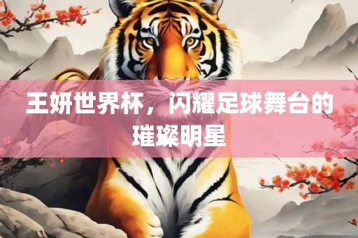 王妍世界杯，闪耀足球舞台的璀璨明星