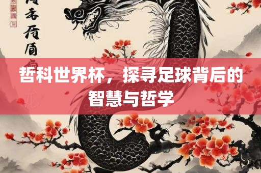 哲科世界杯，探寻足球背后的智慧与哲学