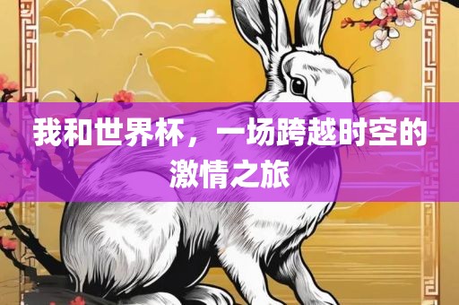 我和世界杯，一场跨越时空的激情之旅