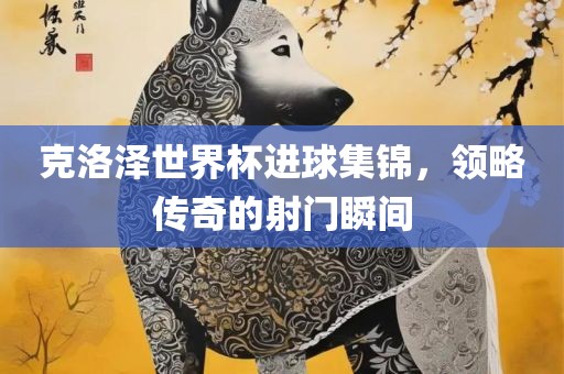 克洛泽世界杯进球集锦，领略传奇的射门瞬间