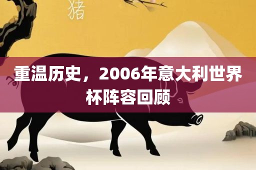重温历史，2006年意大利世界杯阵容回顾