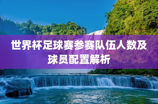世界杯足球赛参赛队伍人数及球员配置解析