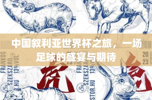 中国叙利亚世界杯之旅，一场足球的盛宴与期待漯河市盈旭机械设备有限公司