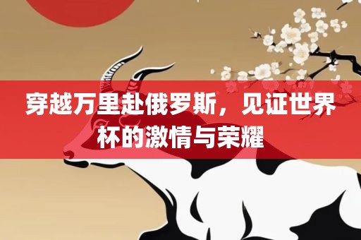 穿越万里赴俄罗斯，见证世界杯的激情与荣耀