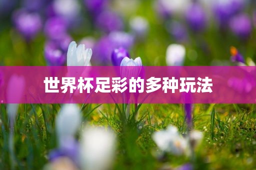 世界杯足彩的多种玩法