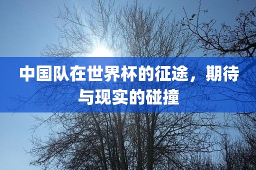 中国队在世界杯的征途，期待与现实的碰撞