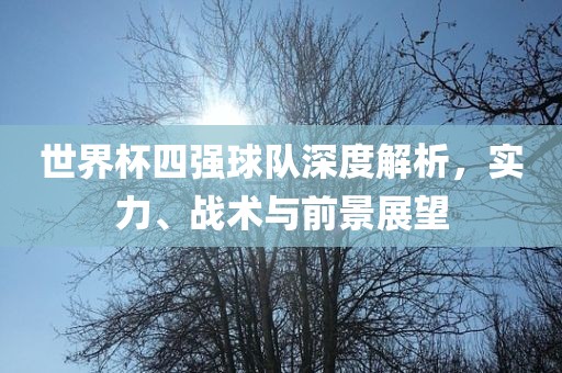世界杯四强球队深度解析，实力、战术与前景展望