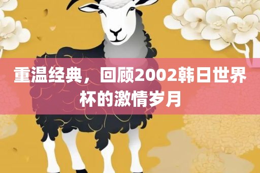 重温经典，回顾2002韩日世界杯的激情岁月漯河市盈旭机械设备有限公司