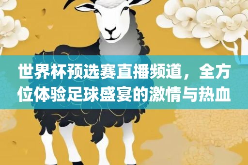 世界杯预选赛直播频道，全方位体验足球盛宴的激情与热血