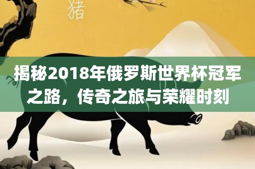 揭秘2018年俄罗斯世界杯冠军之路，传奇之旅与荣耀时刻