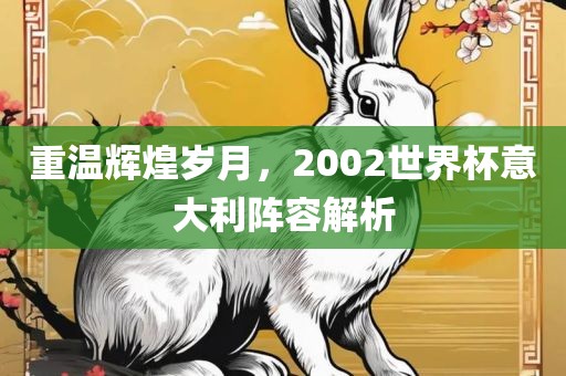 重温辉煌岁月，2002世界杯意大利阵容解析