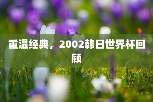 重温经典，2漯河市盈旭机械设备有限公司002韩日世界杯回顾