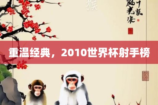 重温经典，2010世界杯射手榜
