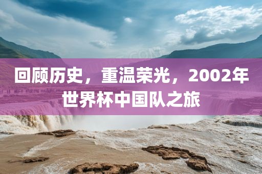 回顾历史，重温荣光，2002年世界杯中国队之旅
