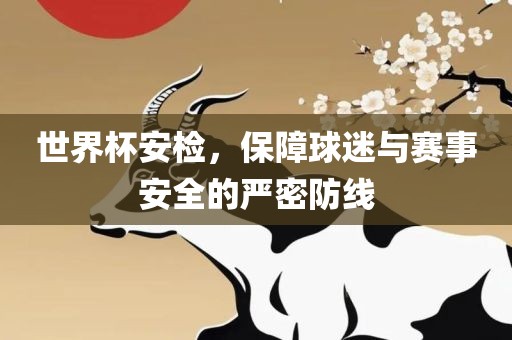 世界杯安检，保障球迷与赛事安全的严密防线漯河市盈旭机械设备有限公司