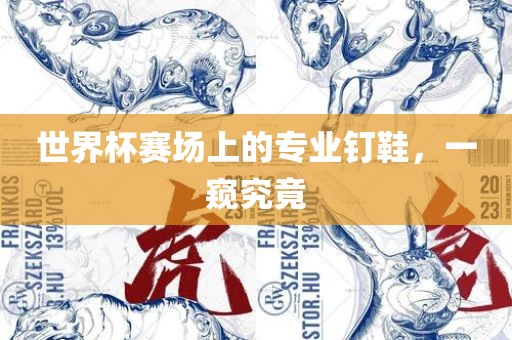 世界杯赛场上的专业钉鞋，一窥究竟