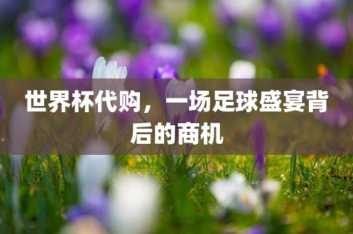 世界杯代购，一场足球盛宴背后的商机