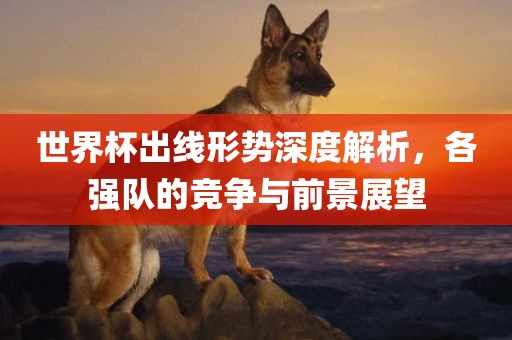 世界杯出线形势深度解析，各强队的竞争与前景展望