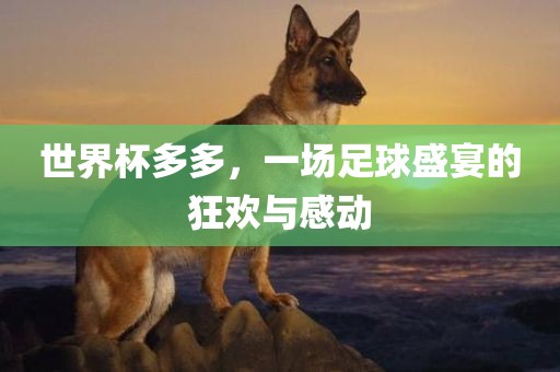 世界杯多多，一场足球盛宴的狂欢与感动漯河市盈旭机械设备有限公司