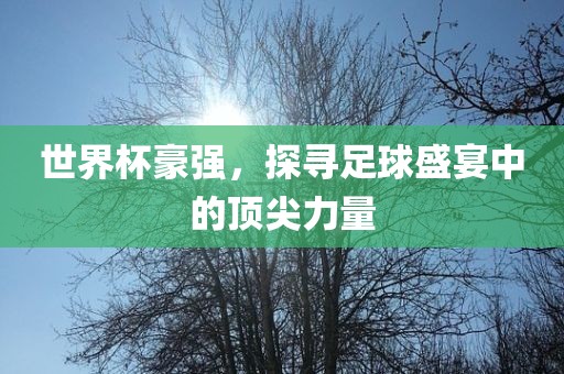 世界杯豪强，探寻足球盛宴中的顶尖力量
