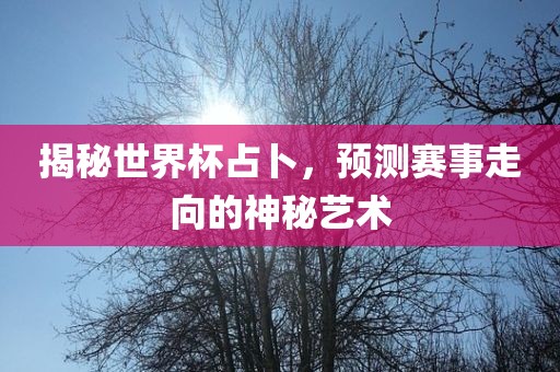 揭秘世界杯占卜，预测赛事走向的神秘艺术