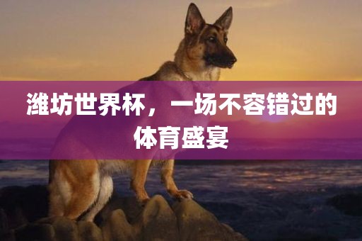 潍坊世界杯，一场不容错过的体育盛宴
