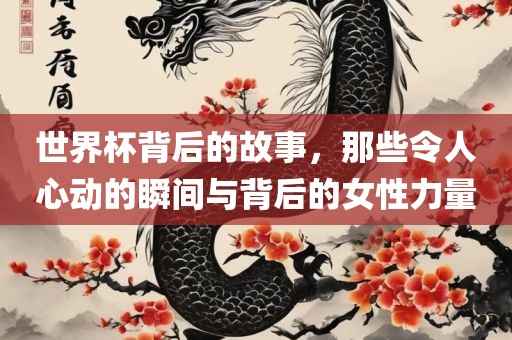 世界杯背后的故事，那些令人心动的瞬间与背后的女性力量