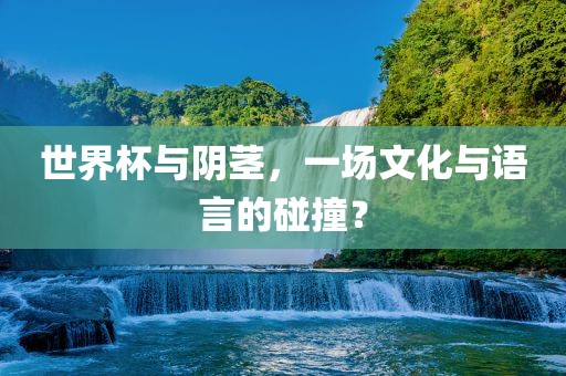 世界杯与阴茎，一场文化与语言的碰撞？