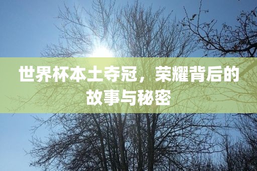 世界杯本土夺冠，荣耀背后的故事与秘密