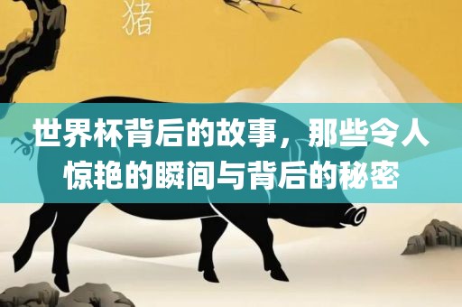 世界杯背后的故事，那些令人惊艳的瞬间与背后的秘密