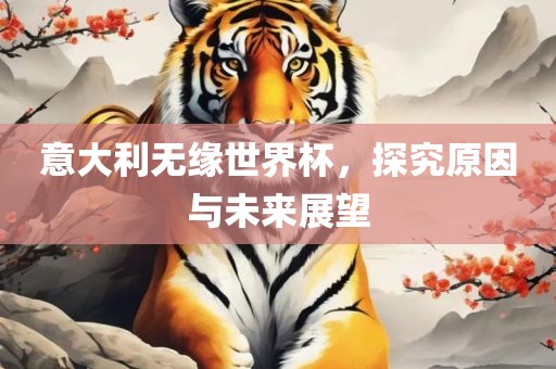 意大利无缘世界杯，探究原因与未来展望