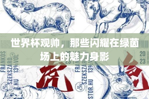 世界杯观帅，那些闪耀在绿茵场上的魅力身影